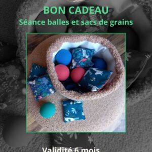 Bon cadeau séance balles et sacs de grains